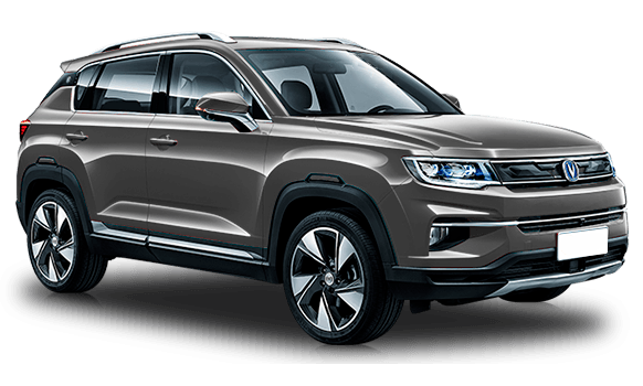 Серебристый пепел